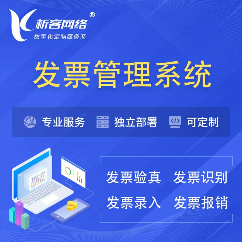 南平发票管理系统